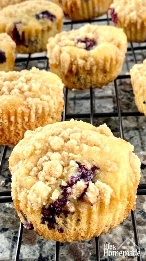 The Best Blueberry Yogurt Muffins